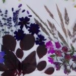 Farben deines Seelengartens