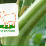 Hoffest auf dem HeinrichHof