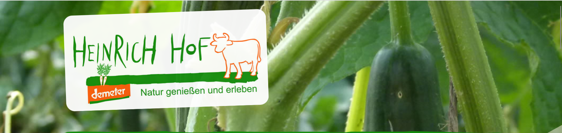 Hoffest auf dem HeinrichHof