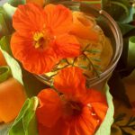 Frühstücks- und Brunch-Variationen