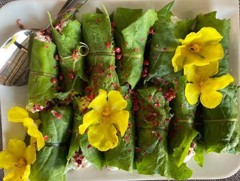 Wildkräuterküche - kochen mit wilden Kräutern